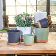 Self Watering Flower Pots 1